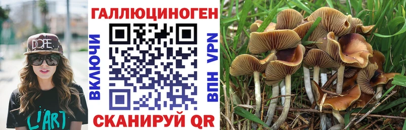Галлюциногенные грибы Magic Shrooms Алейск